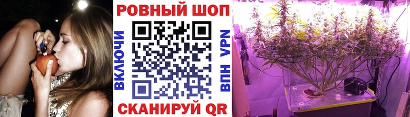Где купить наркоту Южа Гашиш  КОКАИН  Alpha-PVP  Каннабис  Псилоцибиновые грибы  Мефедрон 
